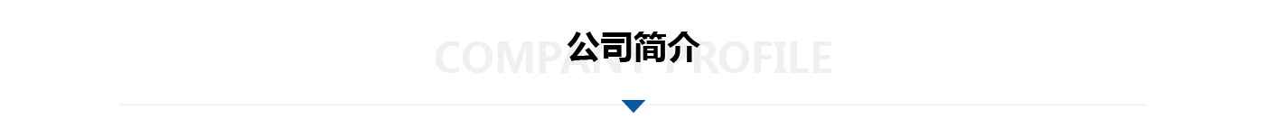 公司介紹標(biāo)題-01.jpg